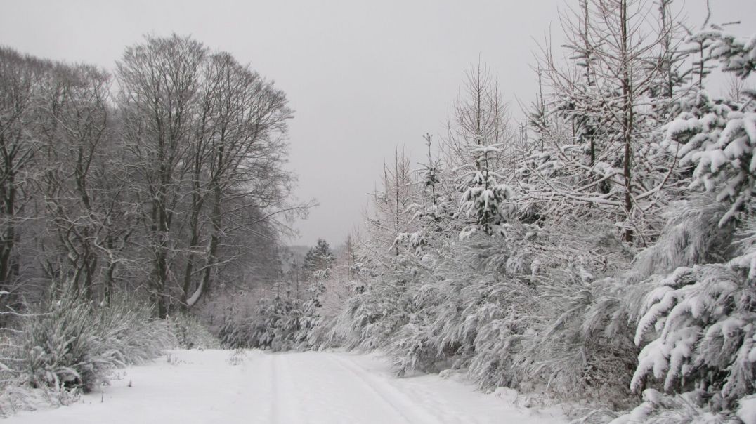 KAR YOLLARI TIKADI #radyotiyatrosu